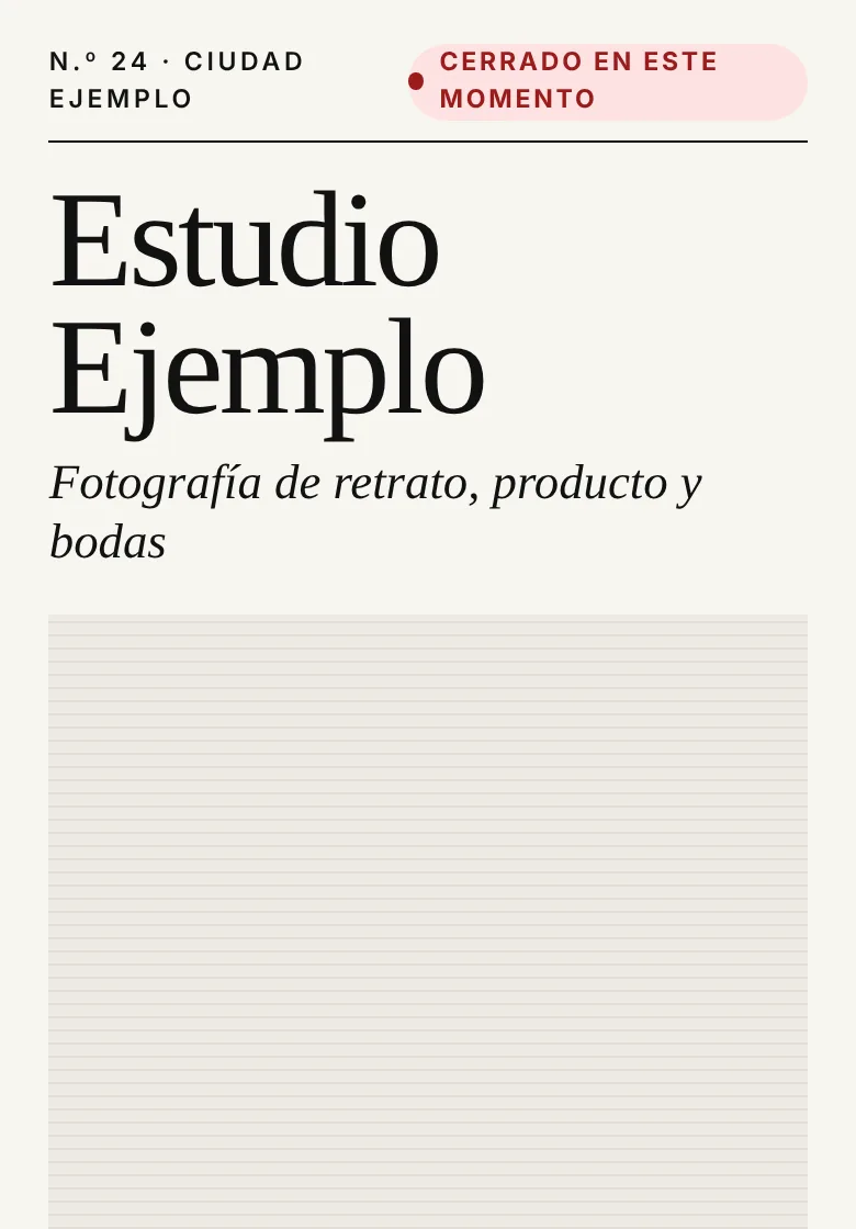 Vista previa del modelo Editorial