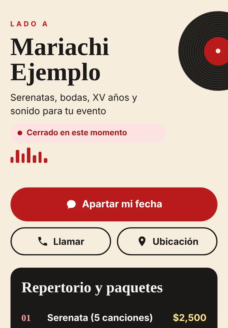 Vista previa del modelo Vinilo